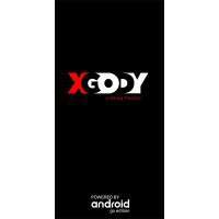 Аккумулятор xgody p30